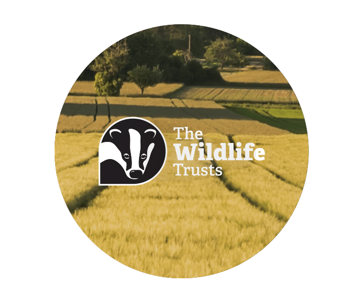 The Wildlife Trusts logo