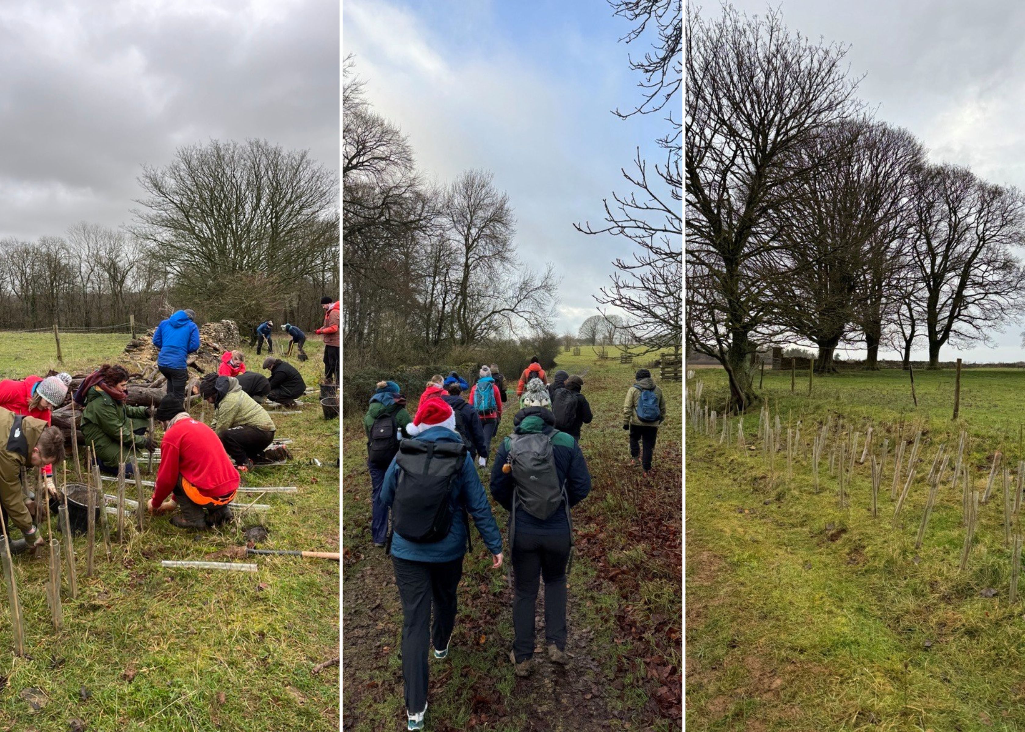 Our Team Day Volunteering With The National Trust | Cotswold Outdoor