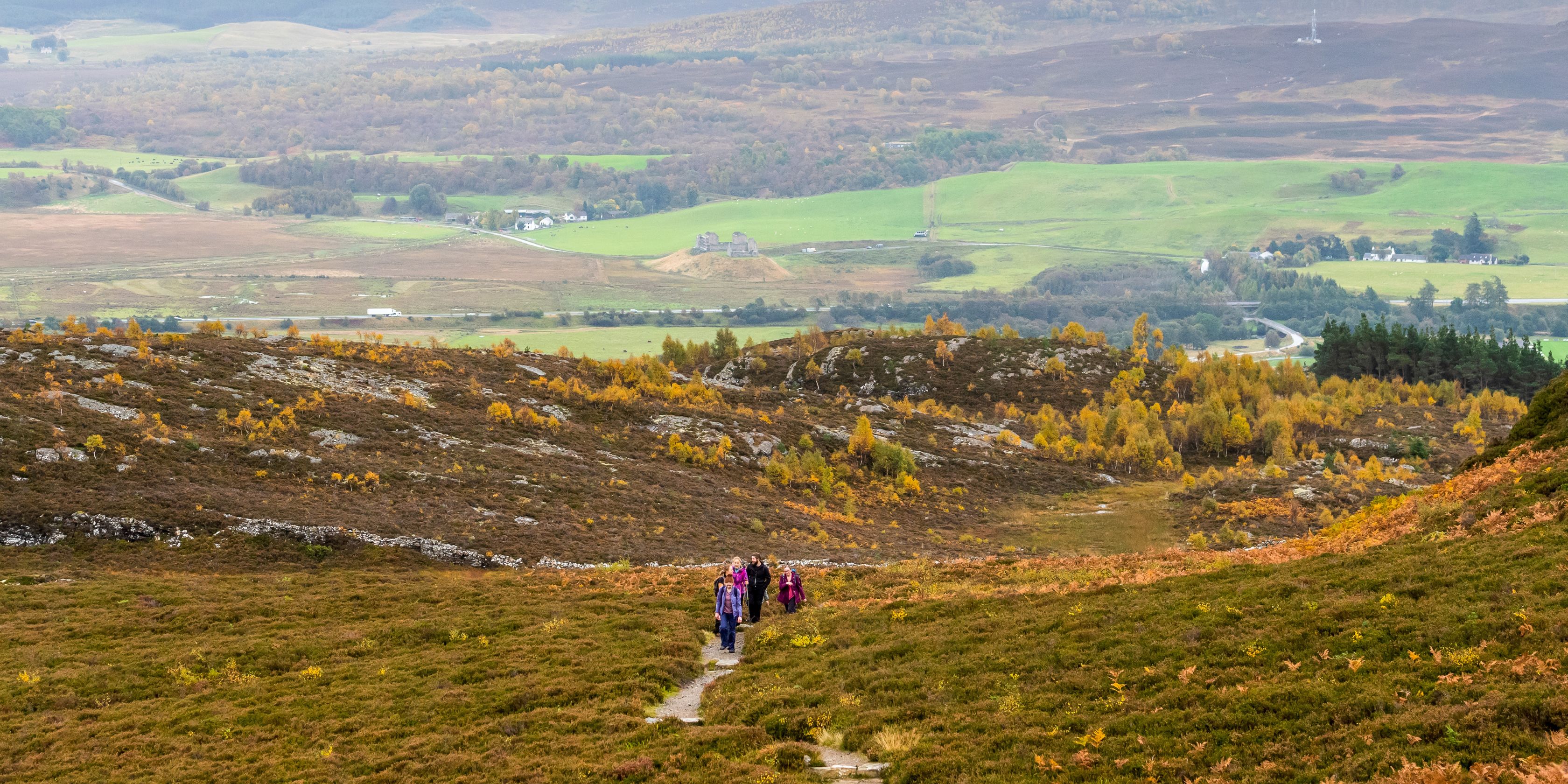 A man looking out into the distance from a hilltop 