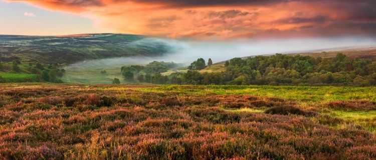 Our Favourite UK Moorlands To Visit  Cotswold Outdoor