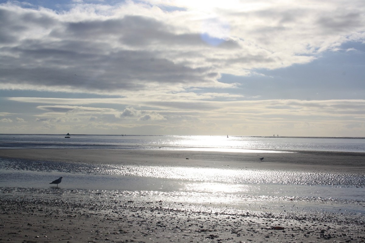 Exmouth Beach