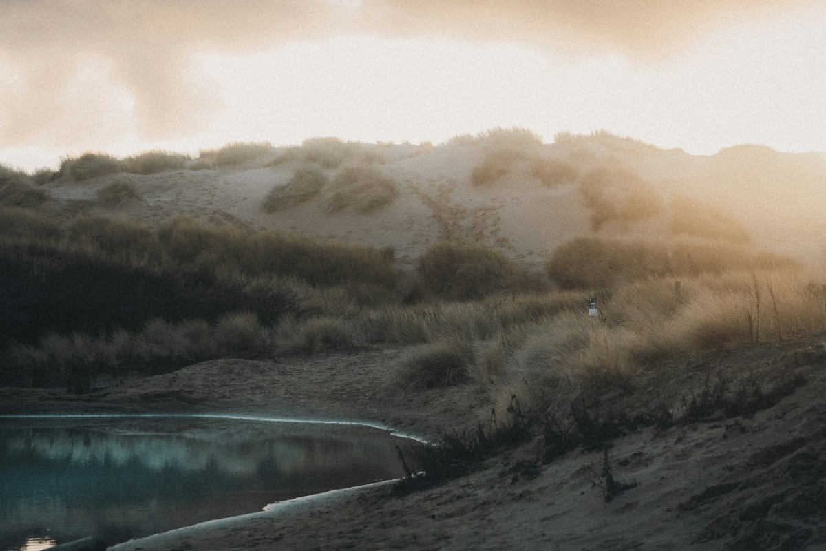 Formby Beach grassy sand dunes