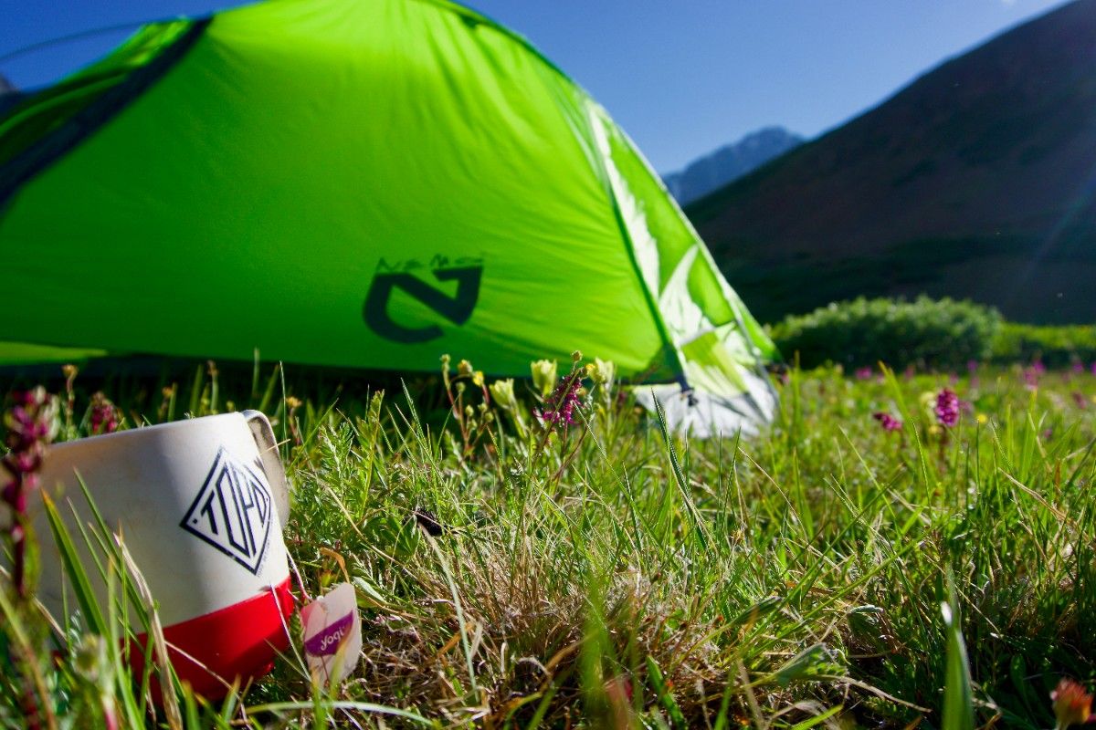 A backpacking tent in a field