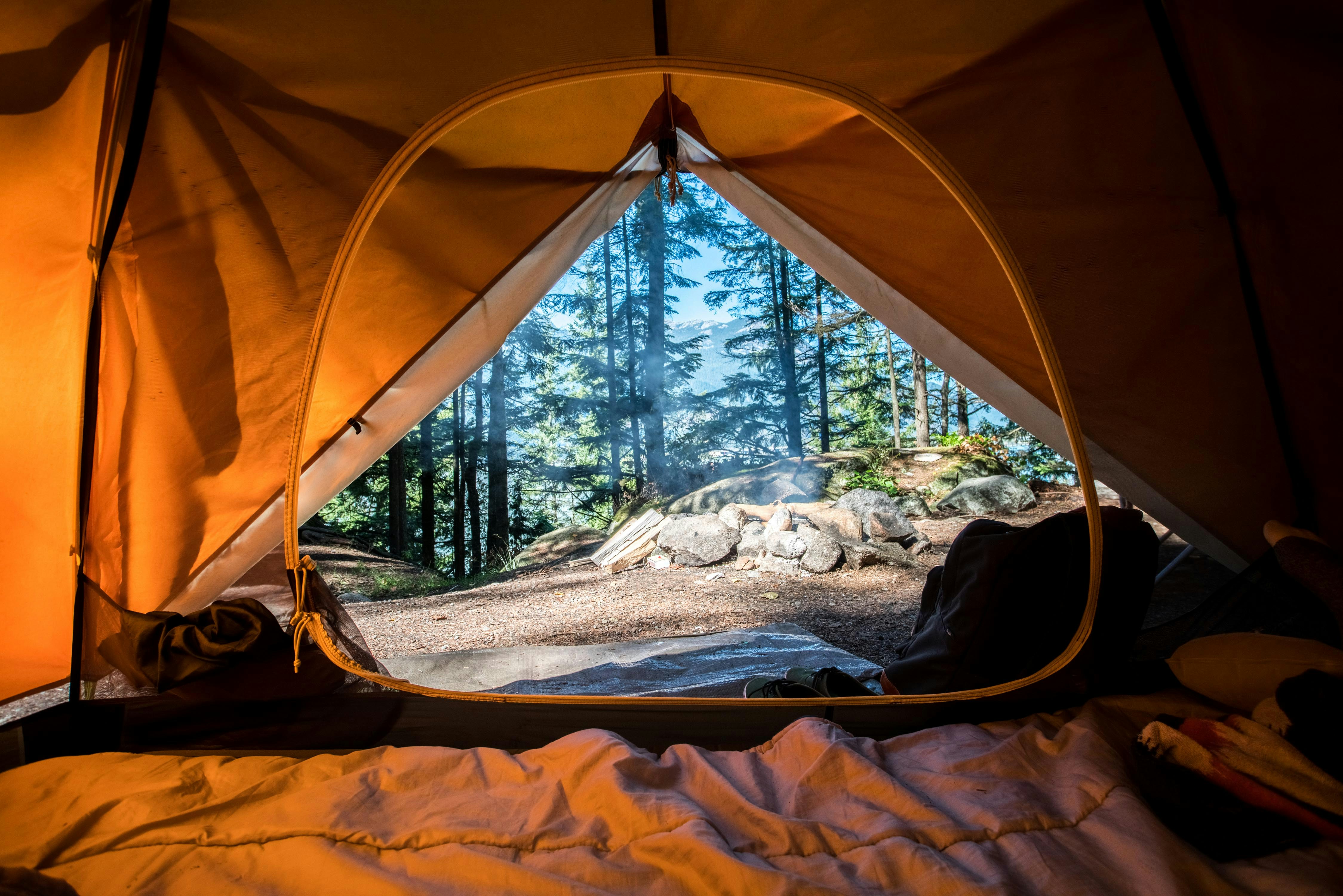 Camping in the forest 