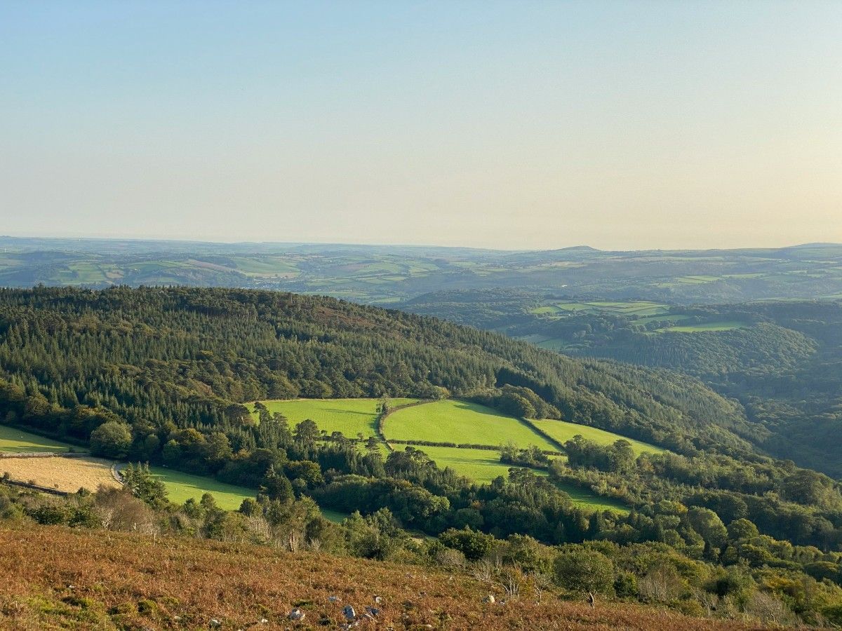 The fields of Dartmoor 