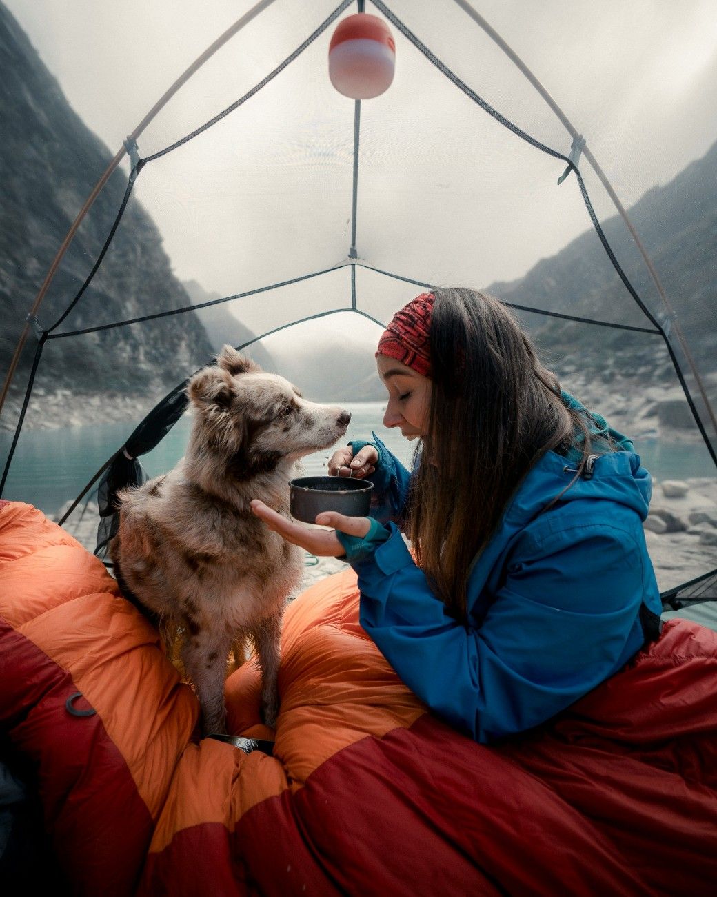 A dog sat by the water with their owner in a tent 