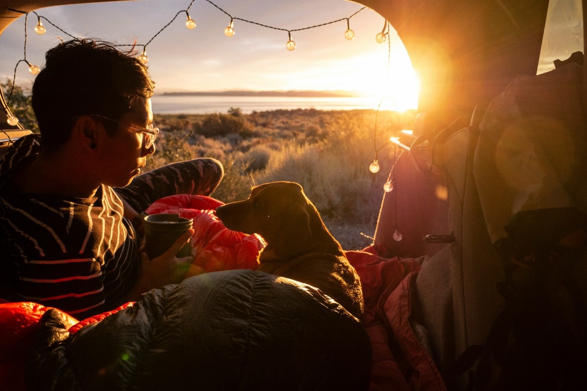 A dog and their owner in a tent as the sun sets behind them