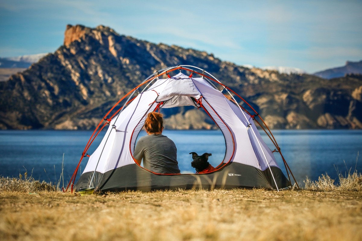 A dog and their owner in a tent by a lake 