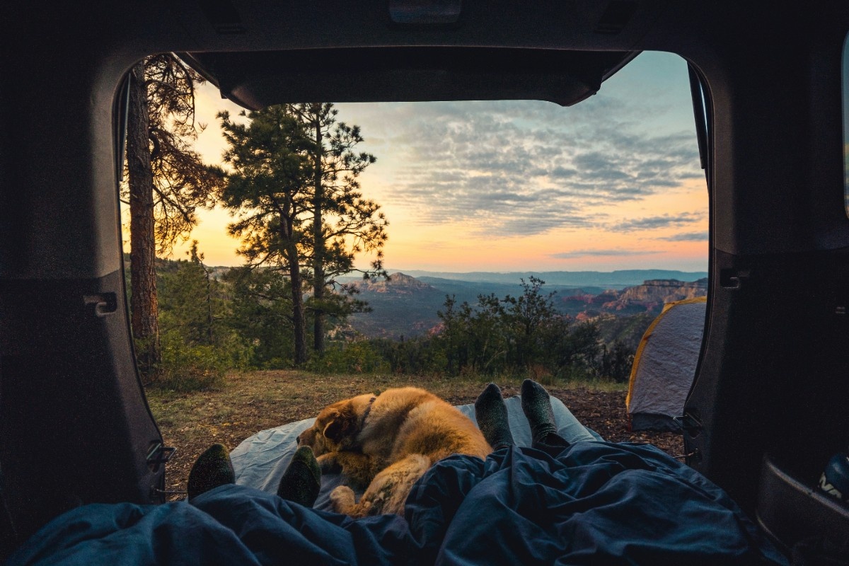 Two people and their dog sat in their tent 