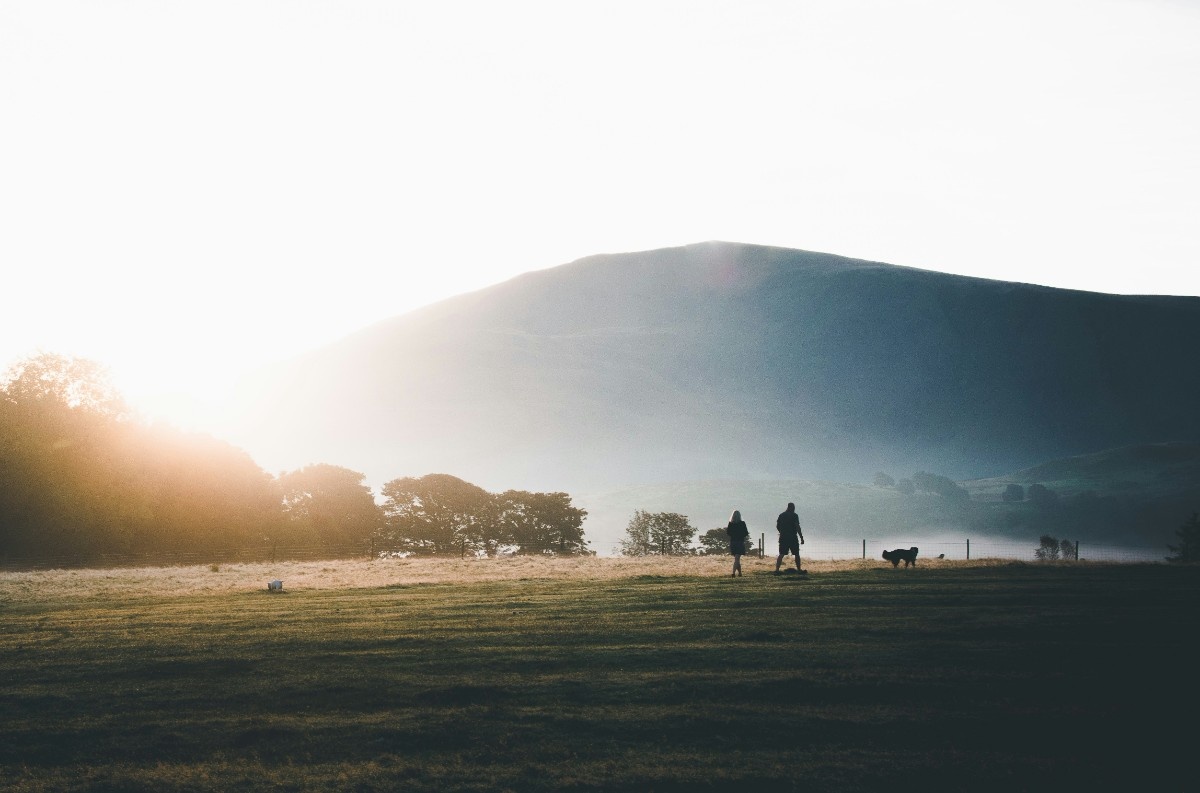 People walking their dogs through the Lake District 