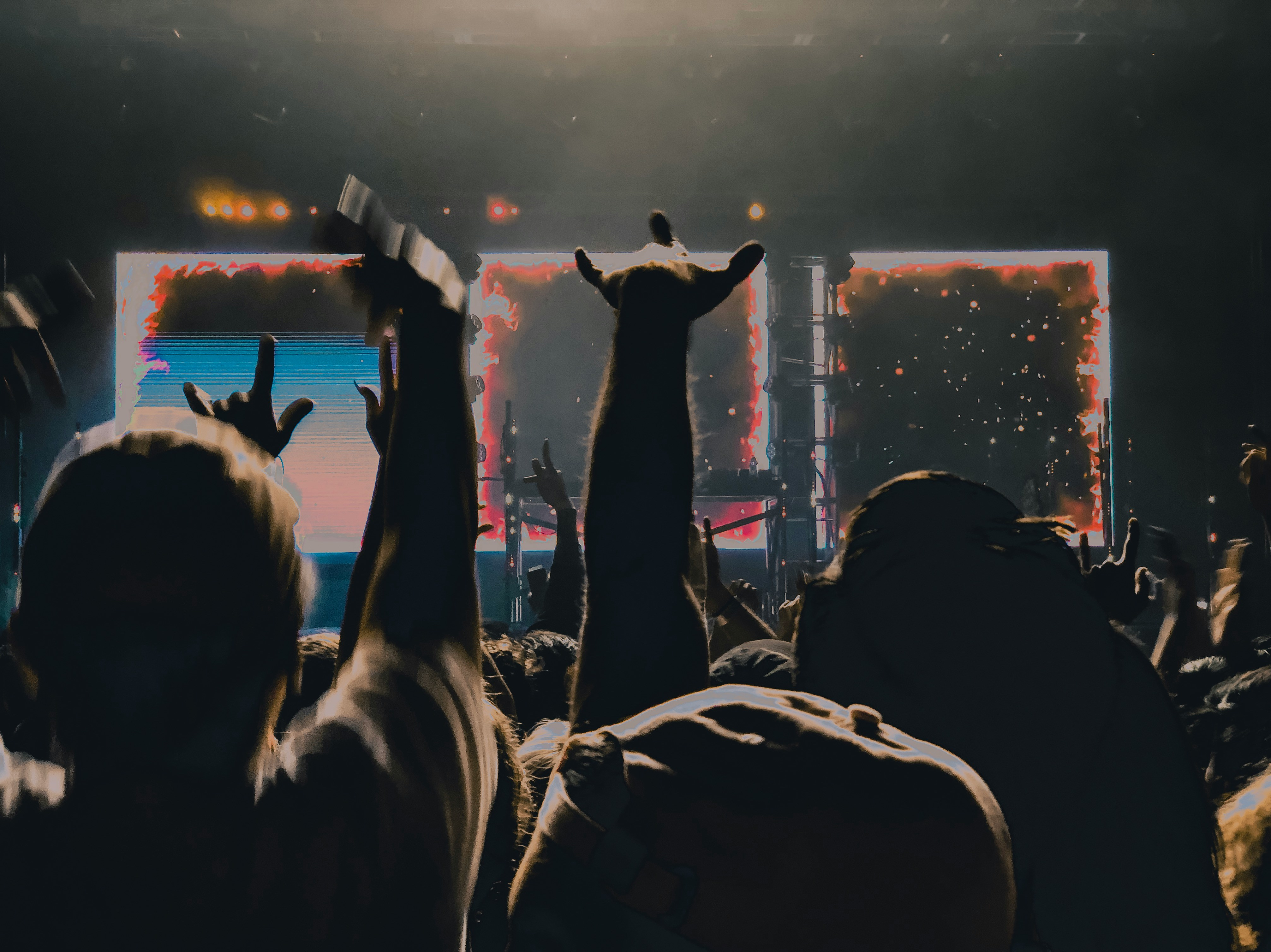 An image of a person throwing their hands up in a crowd 