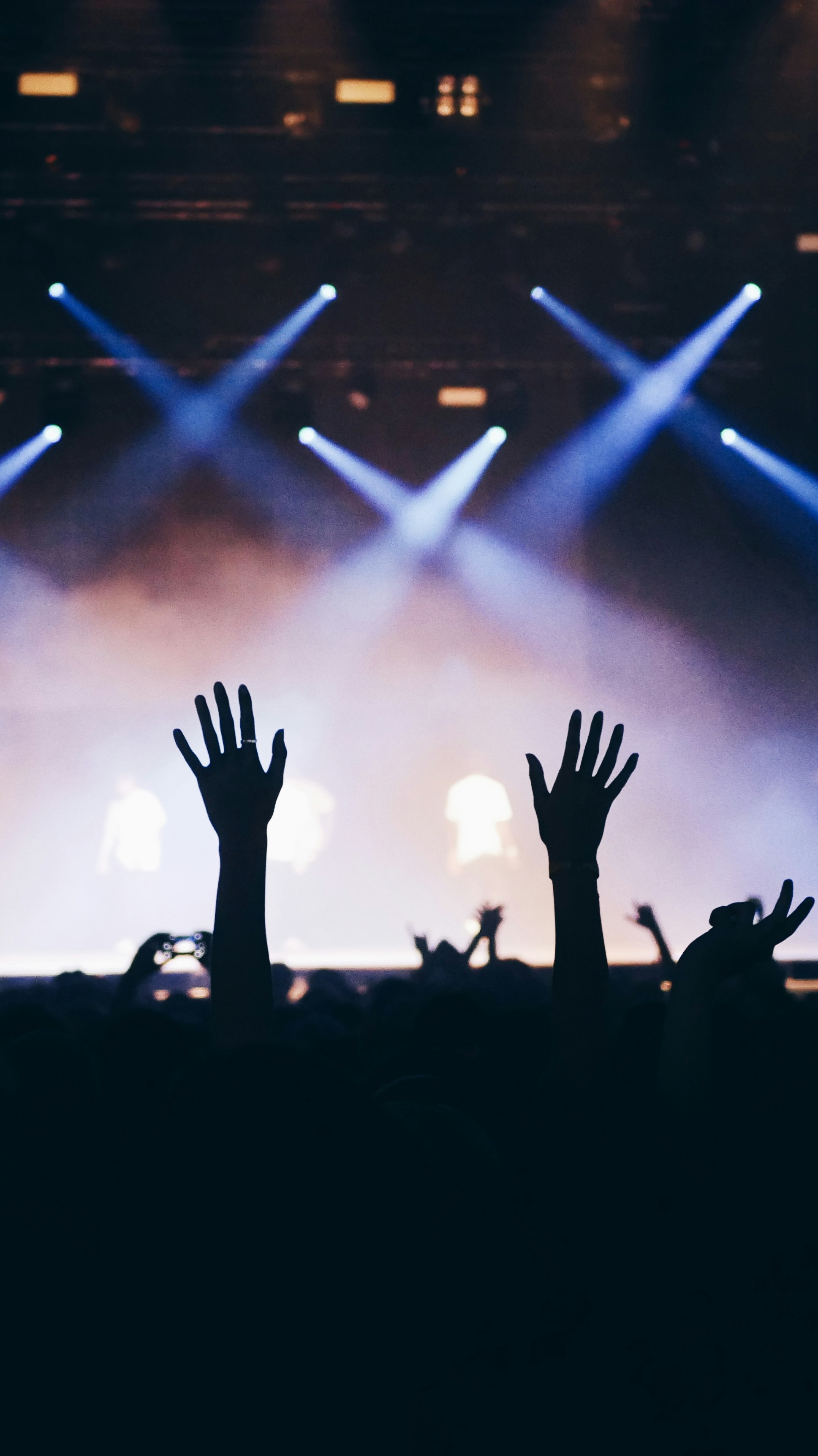 An image of a person throwing their hands up in a crowd 