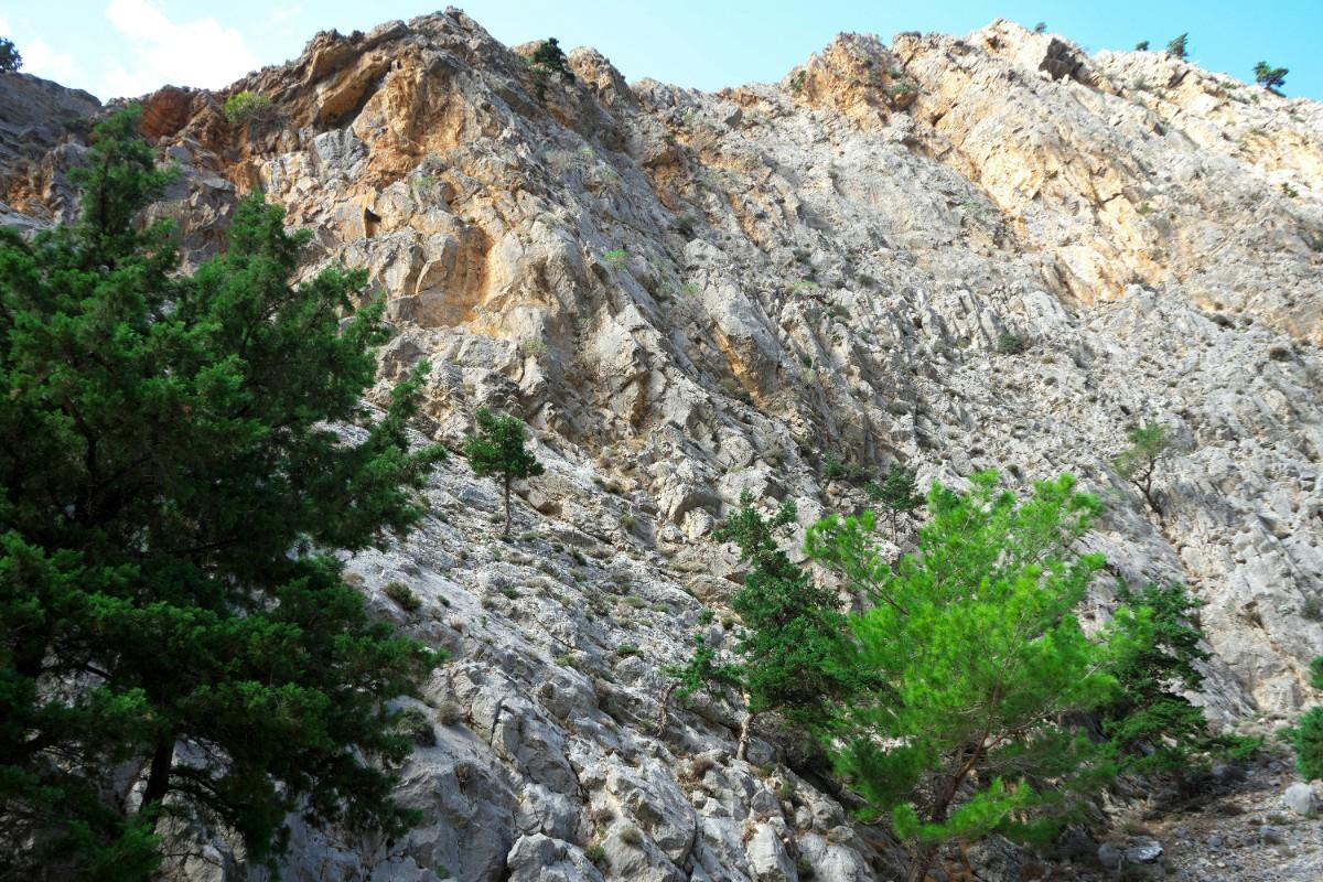 Samaria Gorge in Crete