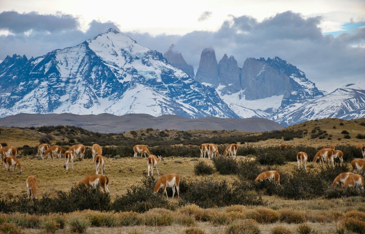 Torres del Paine