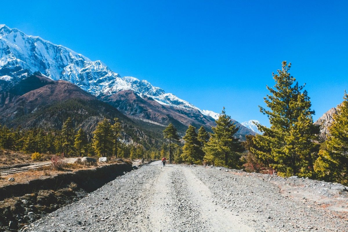 A trail on the Annapurna Circuit