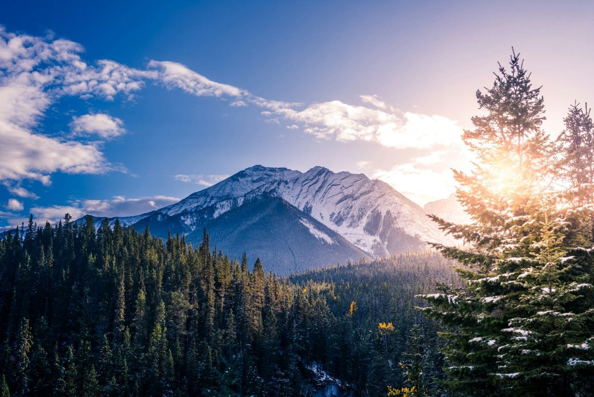 A mountain rising through the trees at Banff National Park 