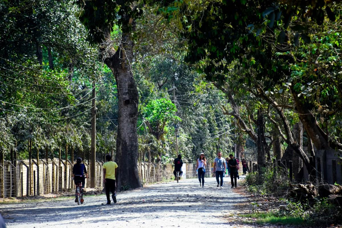 People walking through Chitwan National Park 