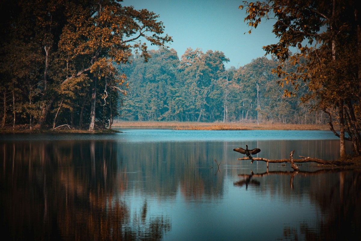 A body of water in Chitwan National Park 