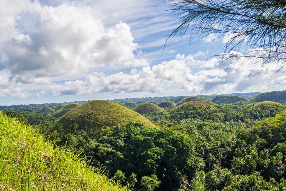 Chocolate Hills