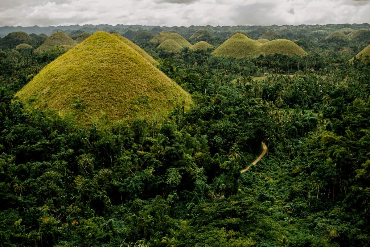 Chocolate Hills