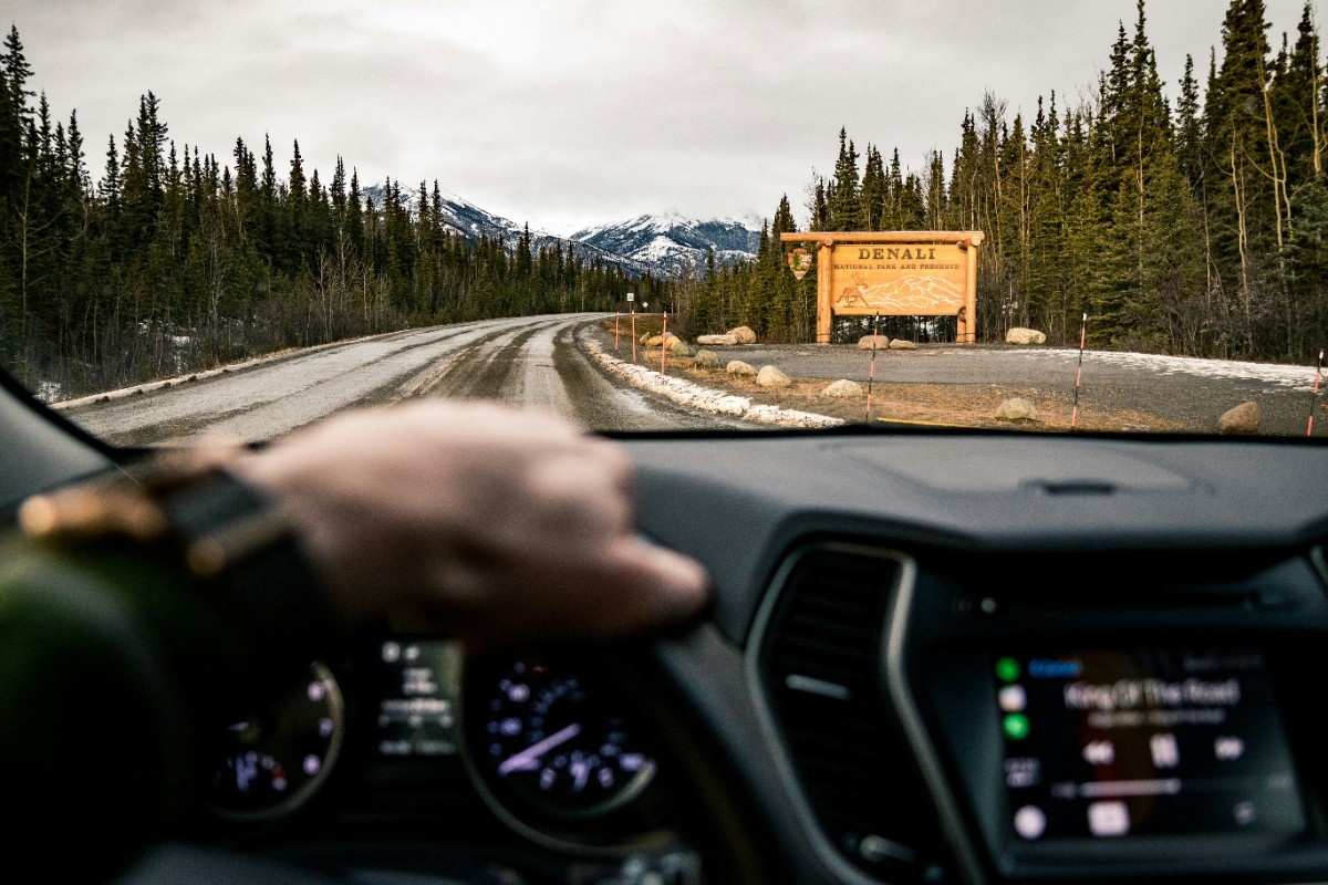 A person driving through Denali National Park 