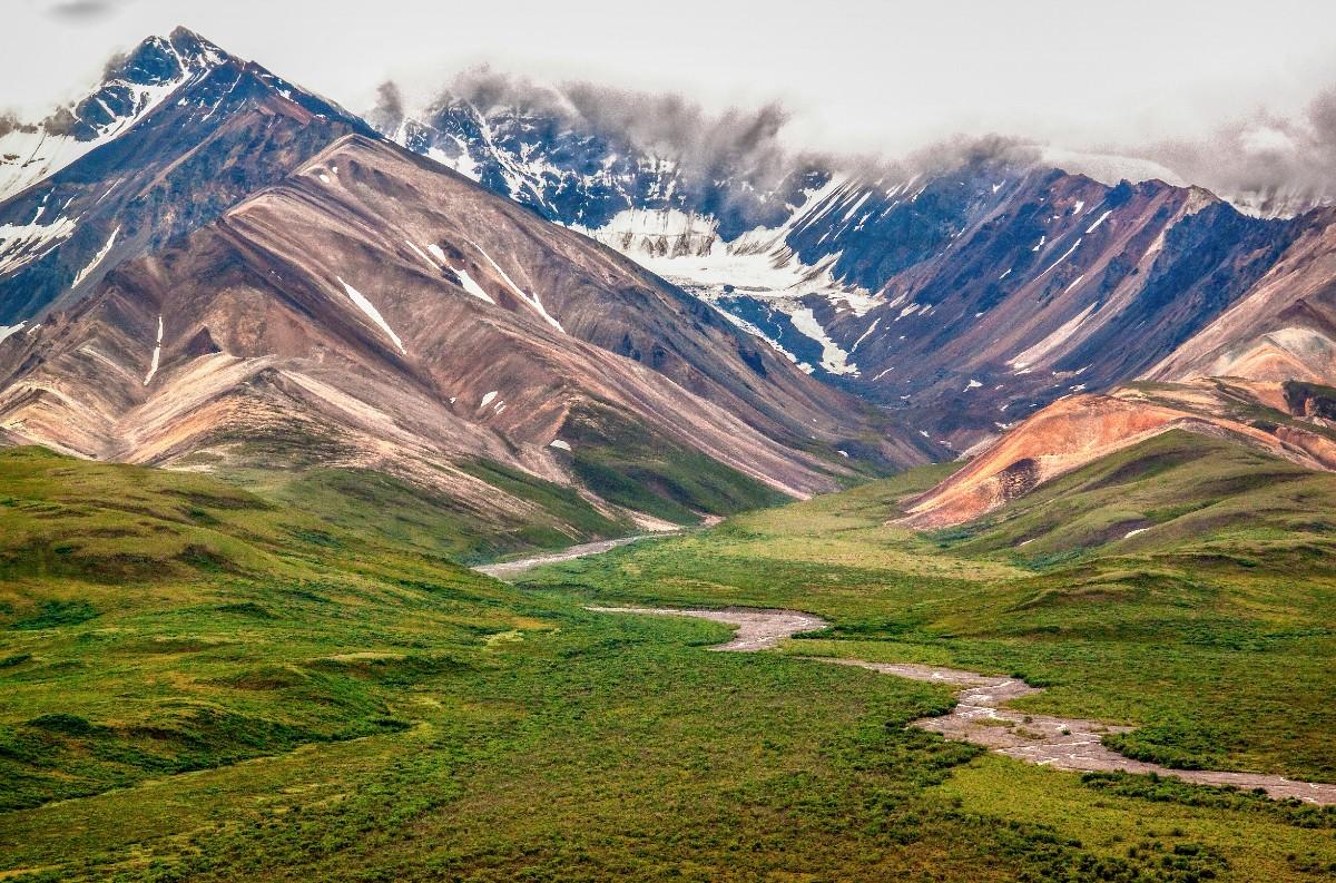 A valley leading to the mountains in Denali National Park 