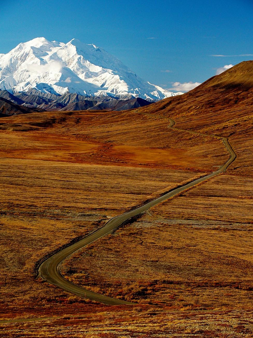 A road through Denali National Park 