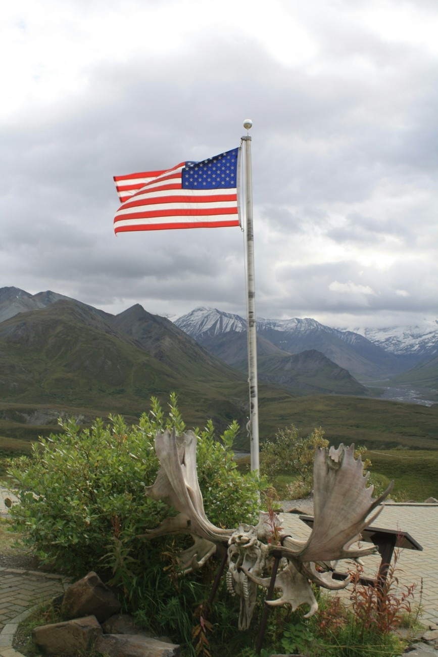 The US flag in Denali National Park 