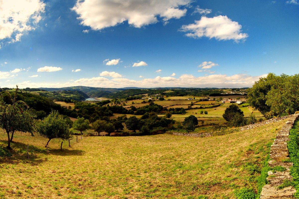 A field along El Camino de Santiago