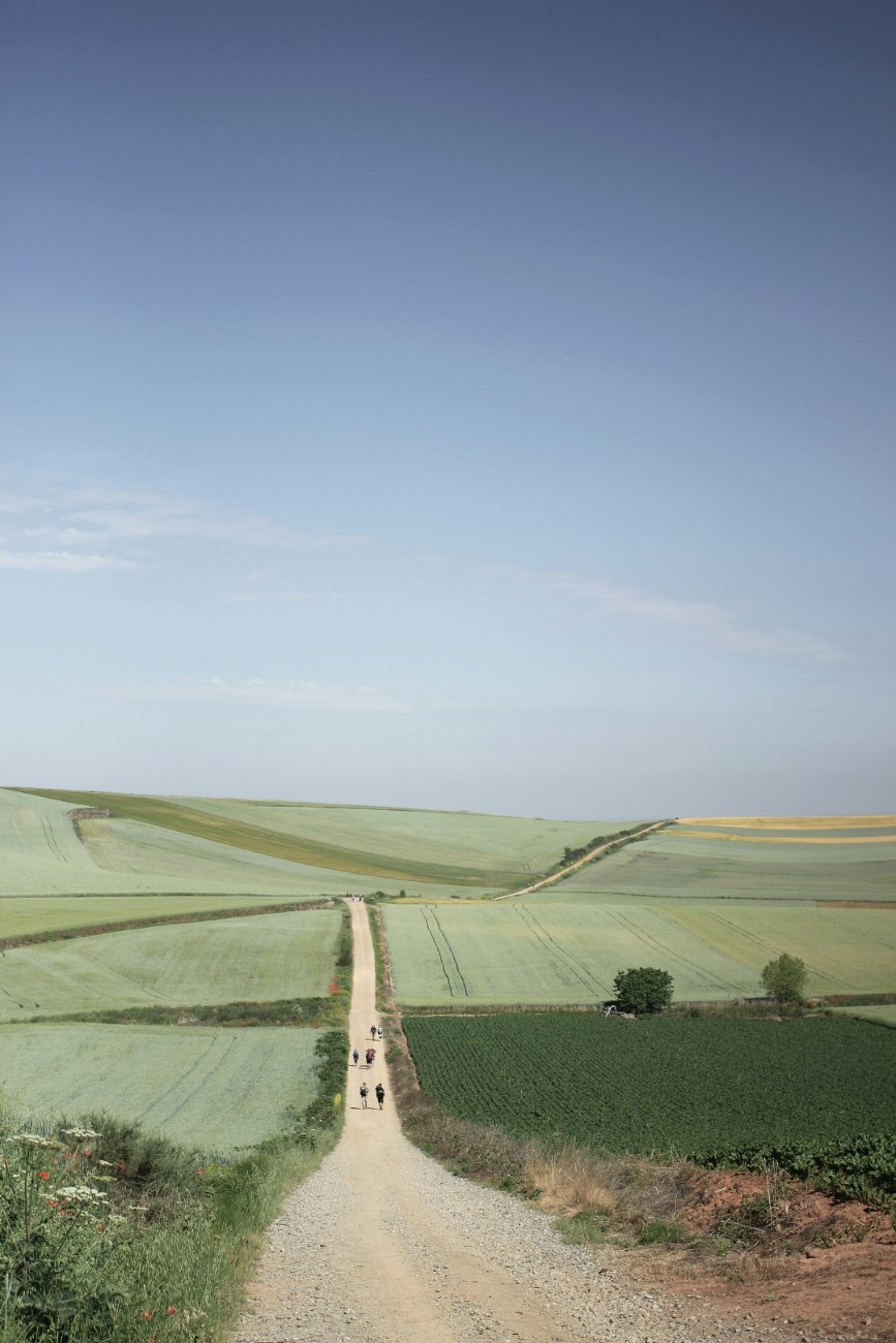 A long path along El Camino de Santiago