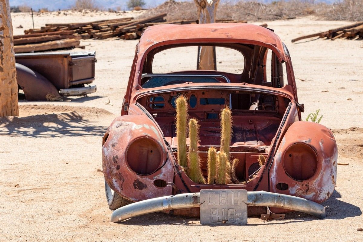 An abandoned car in Etosha National Park Namibia, in the desert with cacti growing in its frame