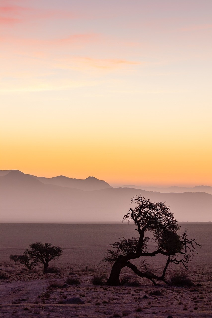 The landscape of Etosha National Park at sunset 