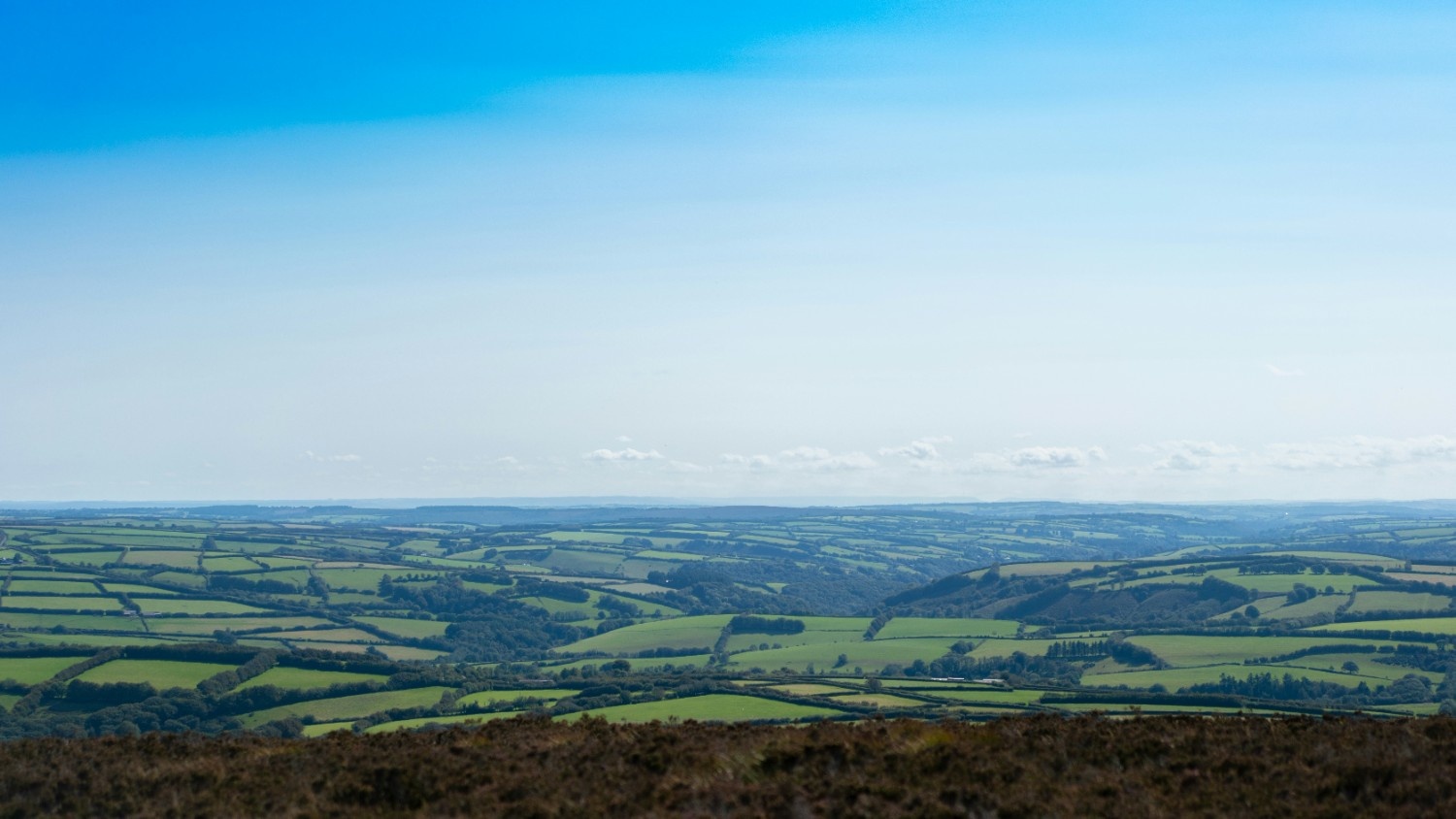 The field in Exmoor 