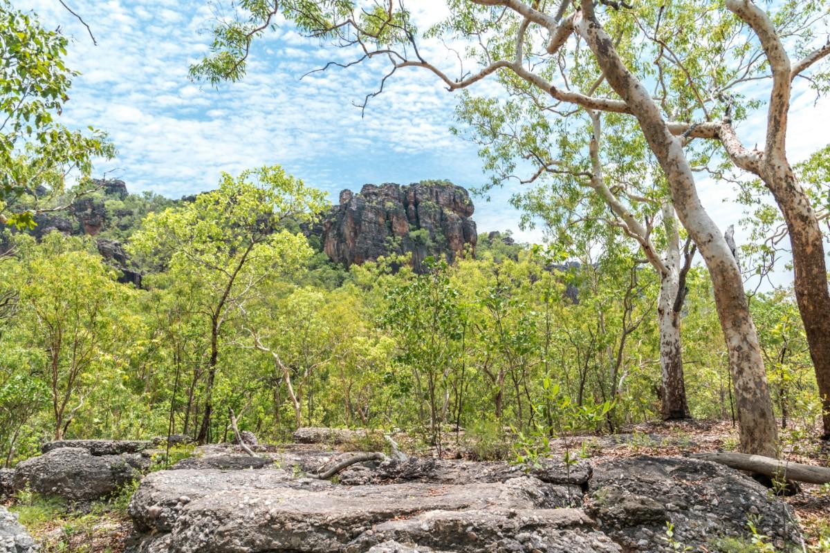 The rocky and green landscape of Kakadu National Park  