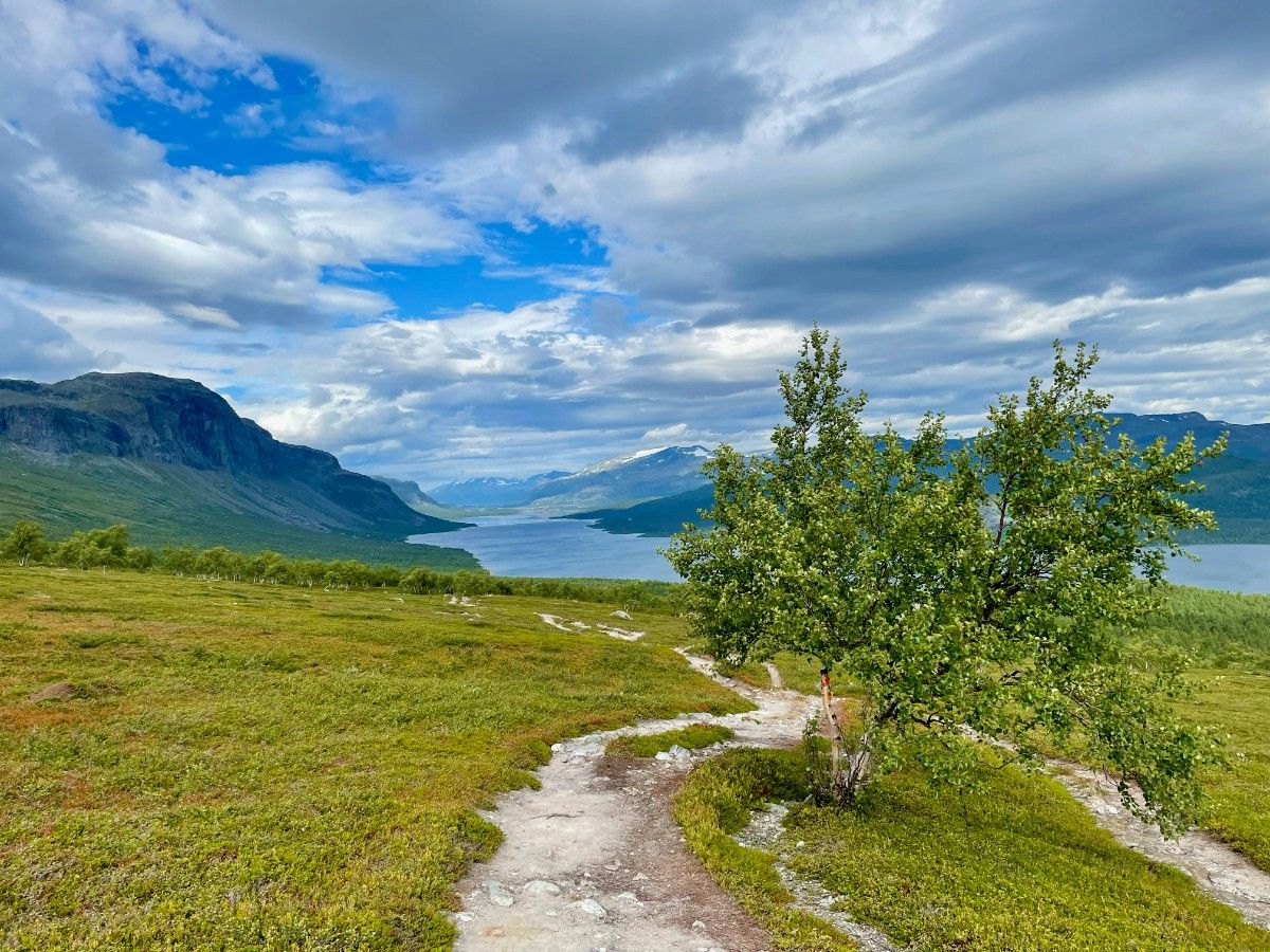 The Kungsleden Trail