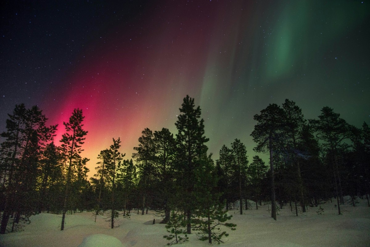 Aurora Borealis (The Northern Lights) over a forest 