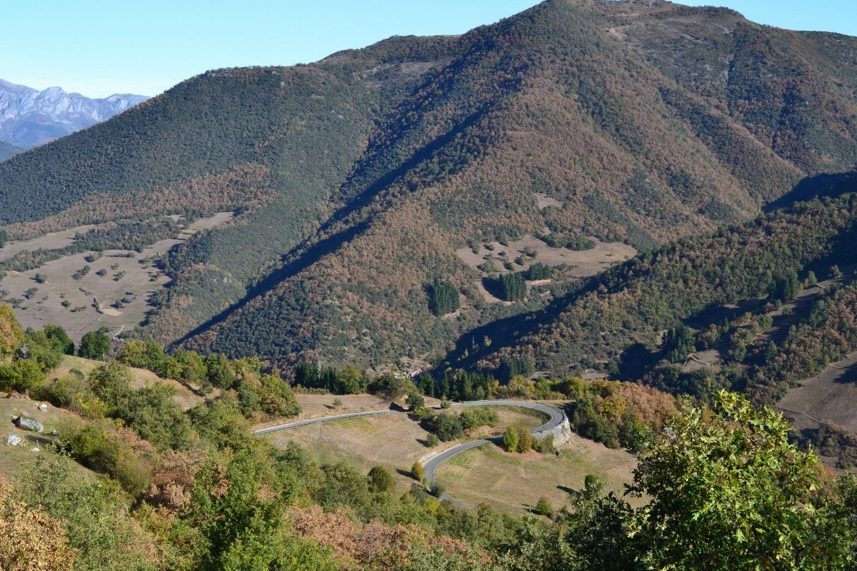 Picos de Europa