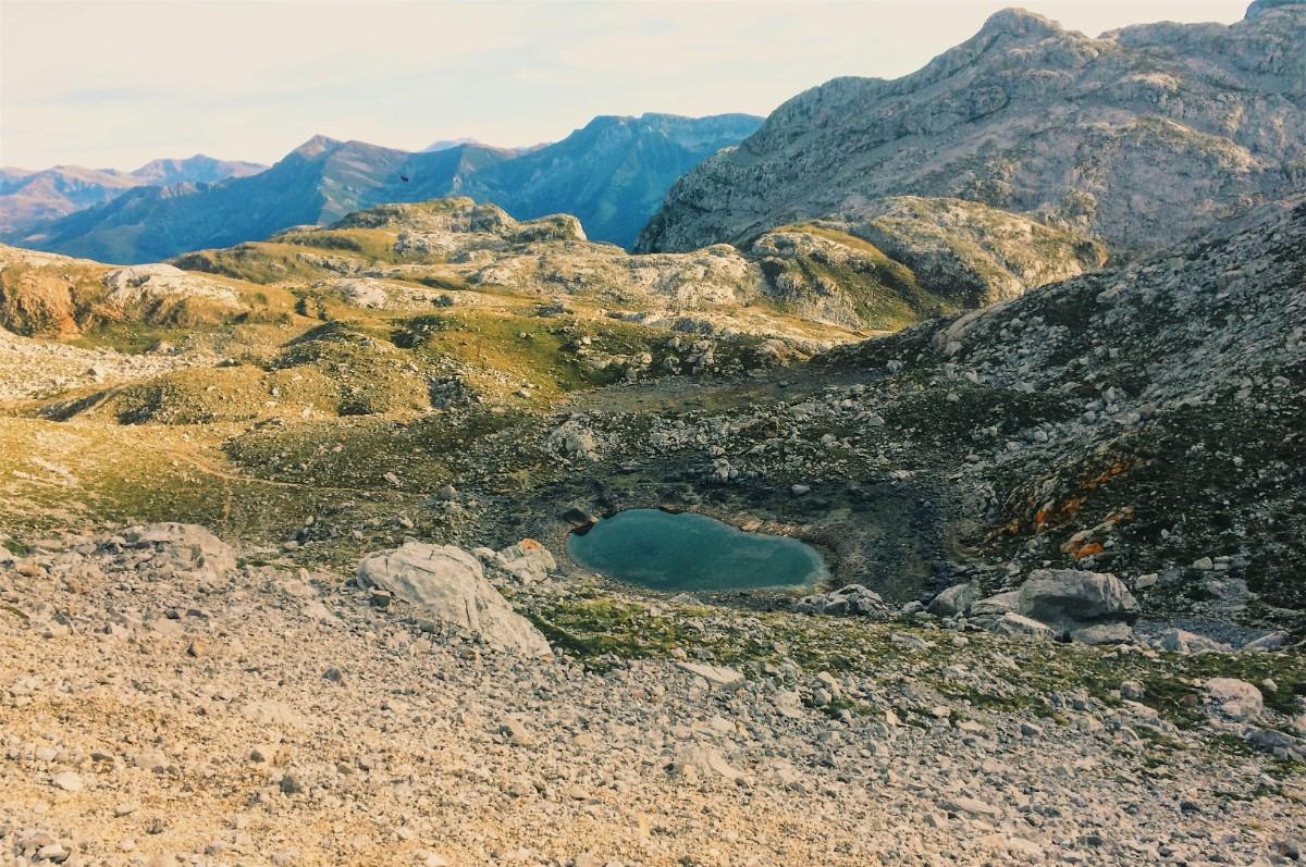 Picos de Europa