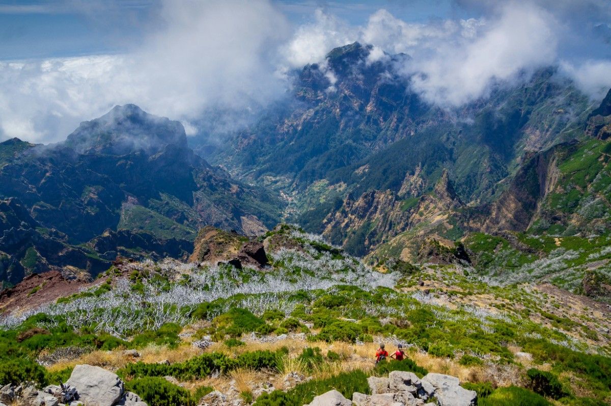 Picos de Europa