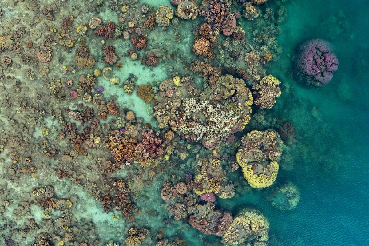 The Great Barrier Reef from above