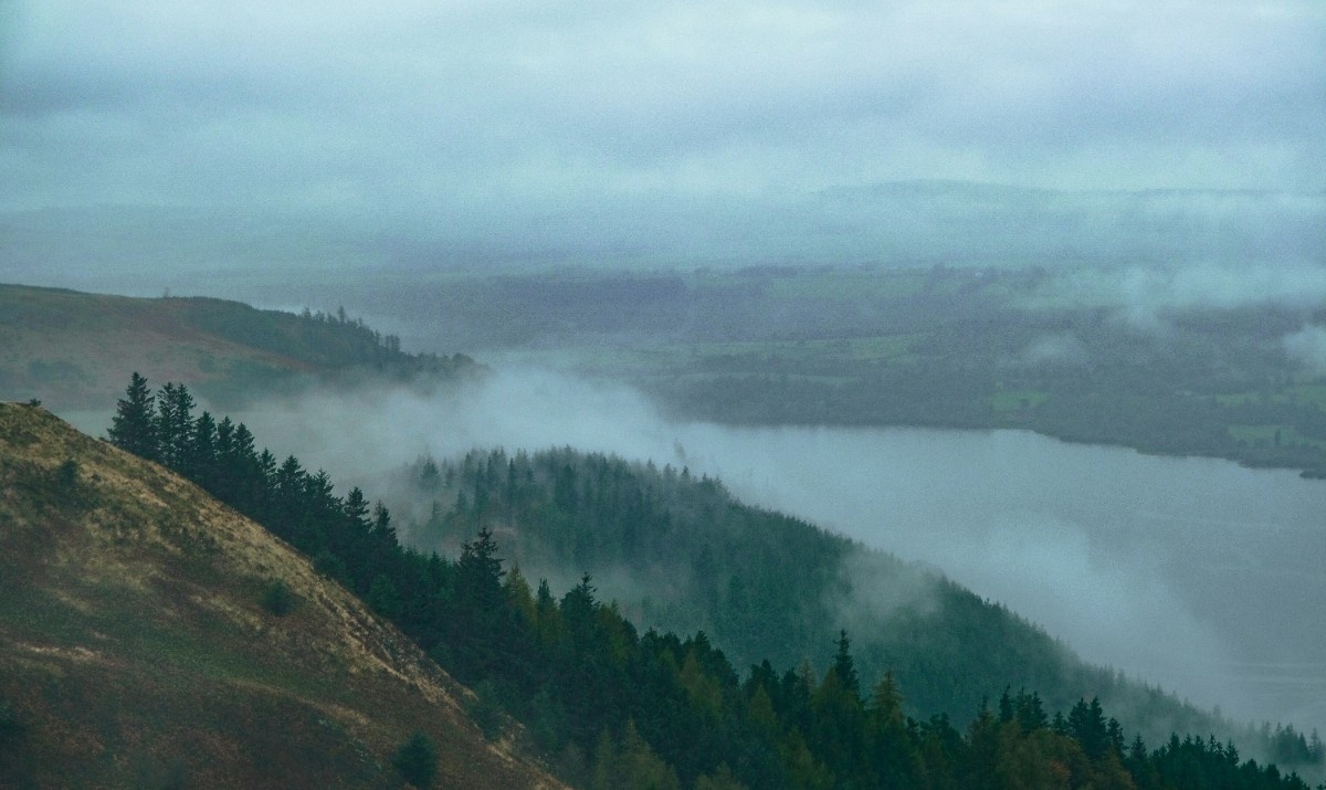 An image of Whinlatter forest 