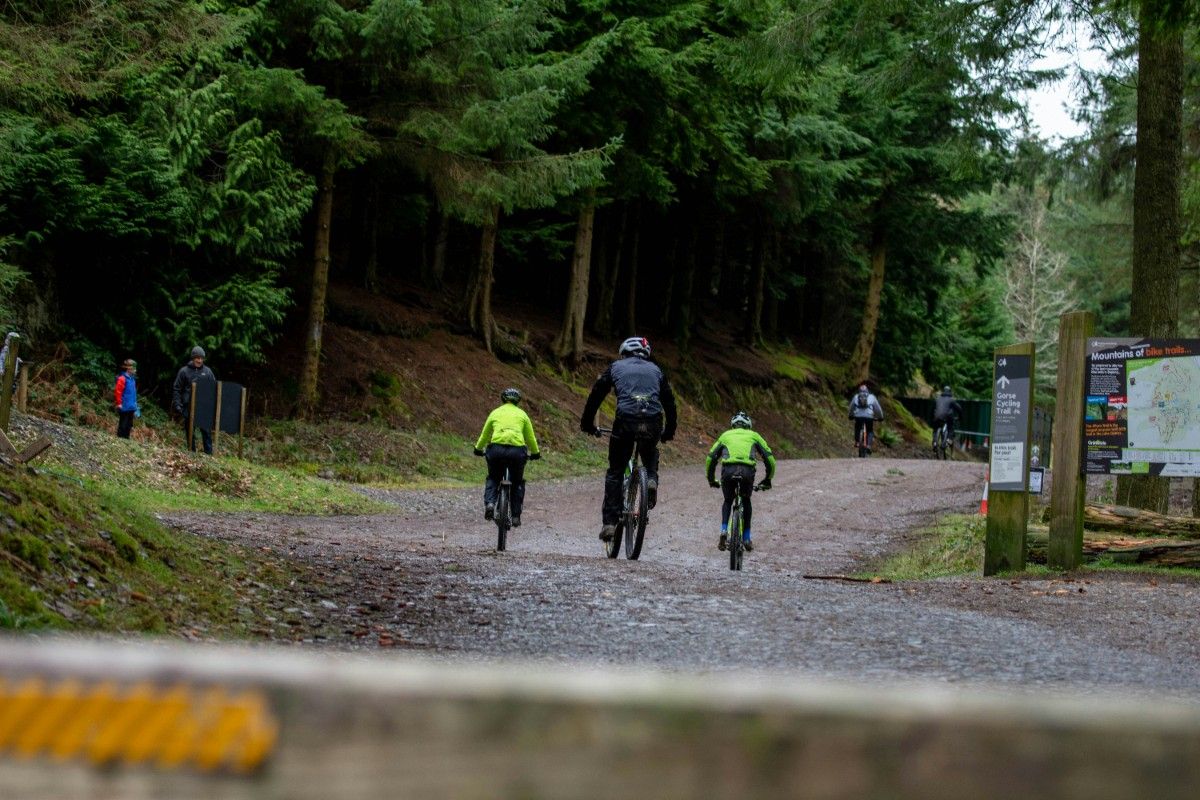 A parent with his two children cycling through Whinlatter forest 