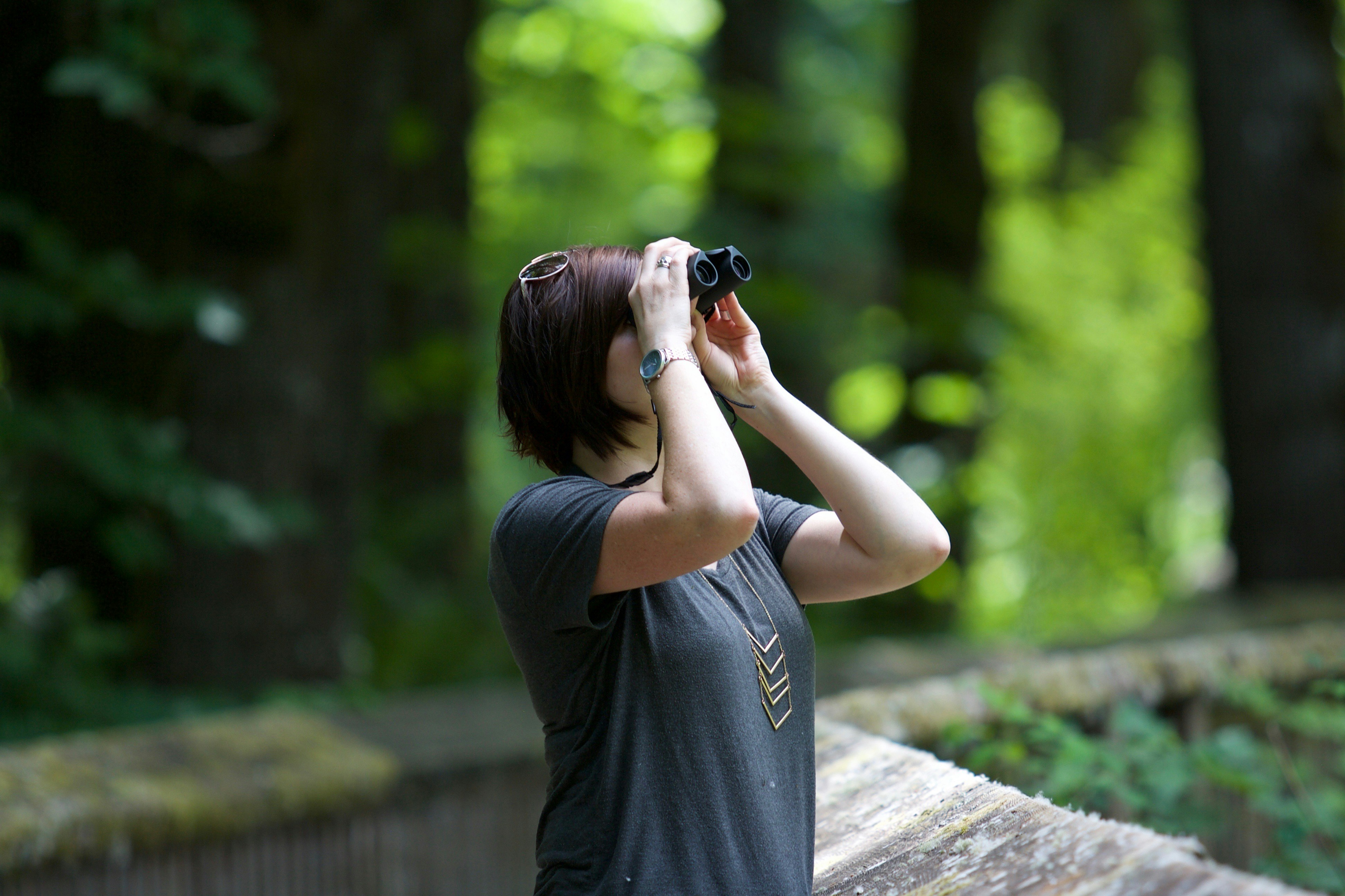 A person taking a photo of some birds in a field