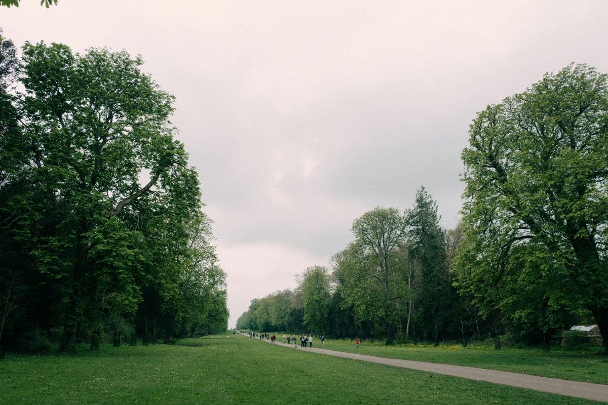 Cirencester Park 