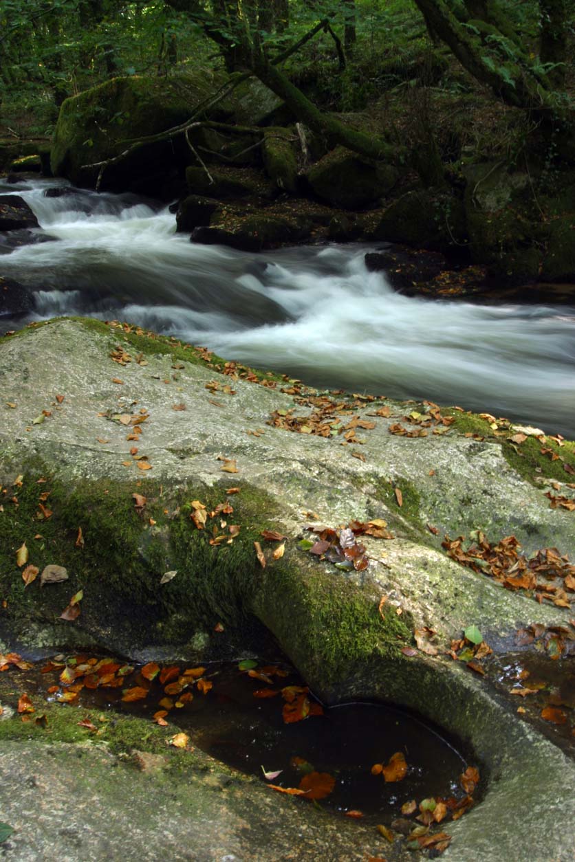 An image of Golitha waterfall 