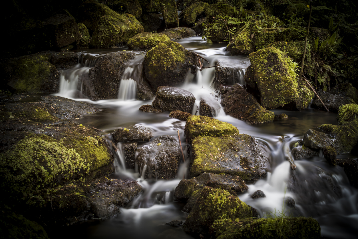 Lumsdale falls in the peak district.