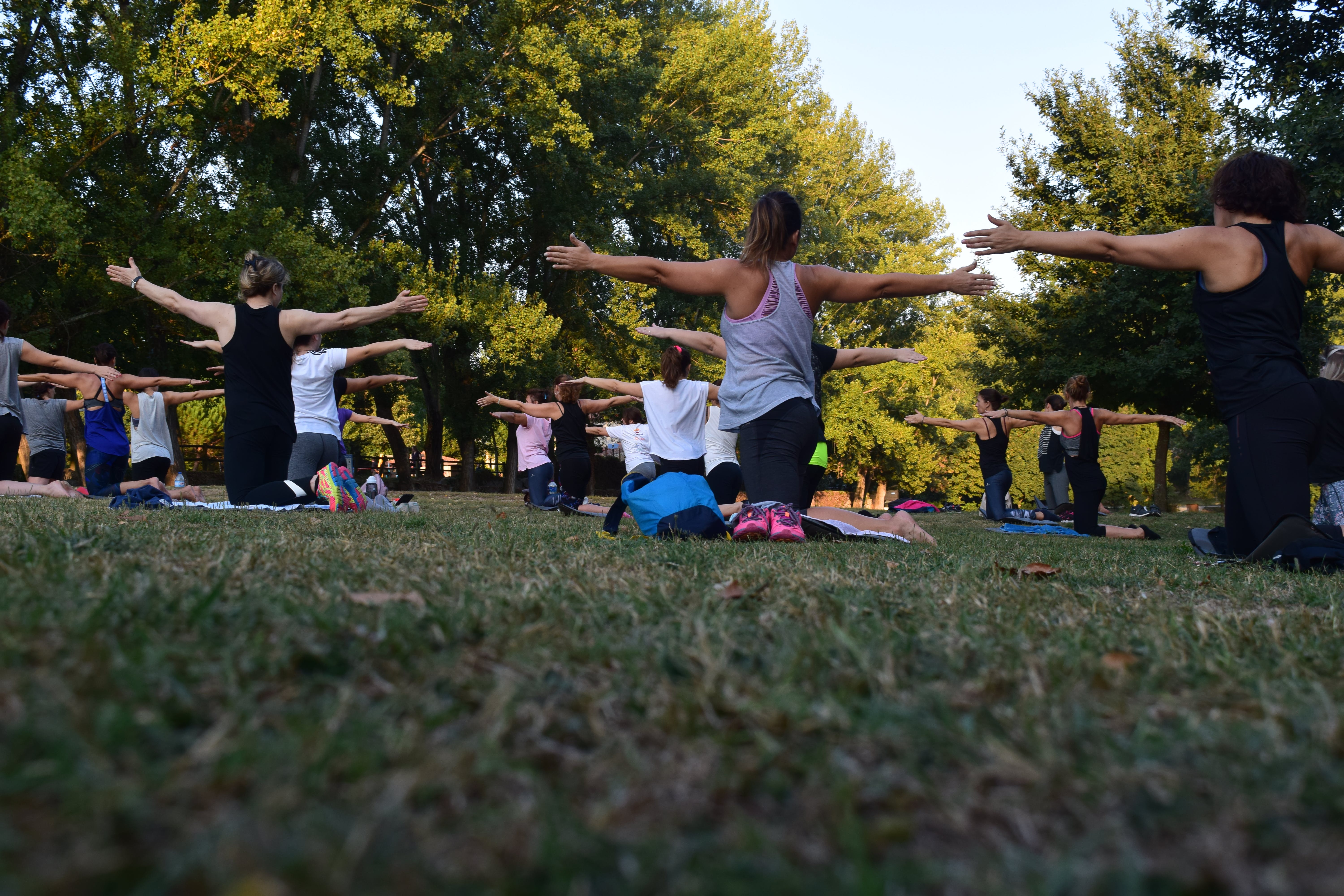 Yoga Poses. An image of a group of people doing a yoga practice in the park 