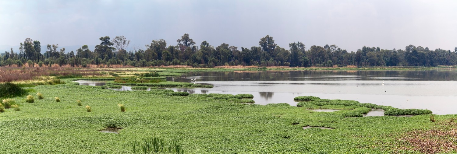 Lake Xochimilco 