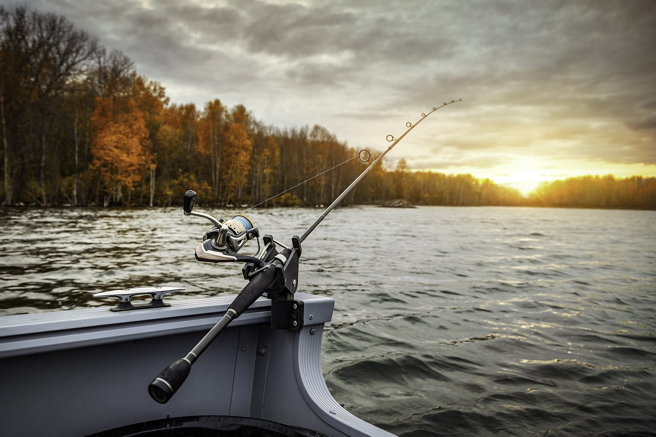 fishing rod on a boat