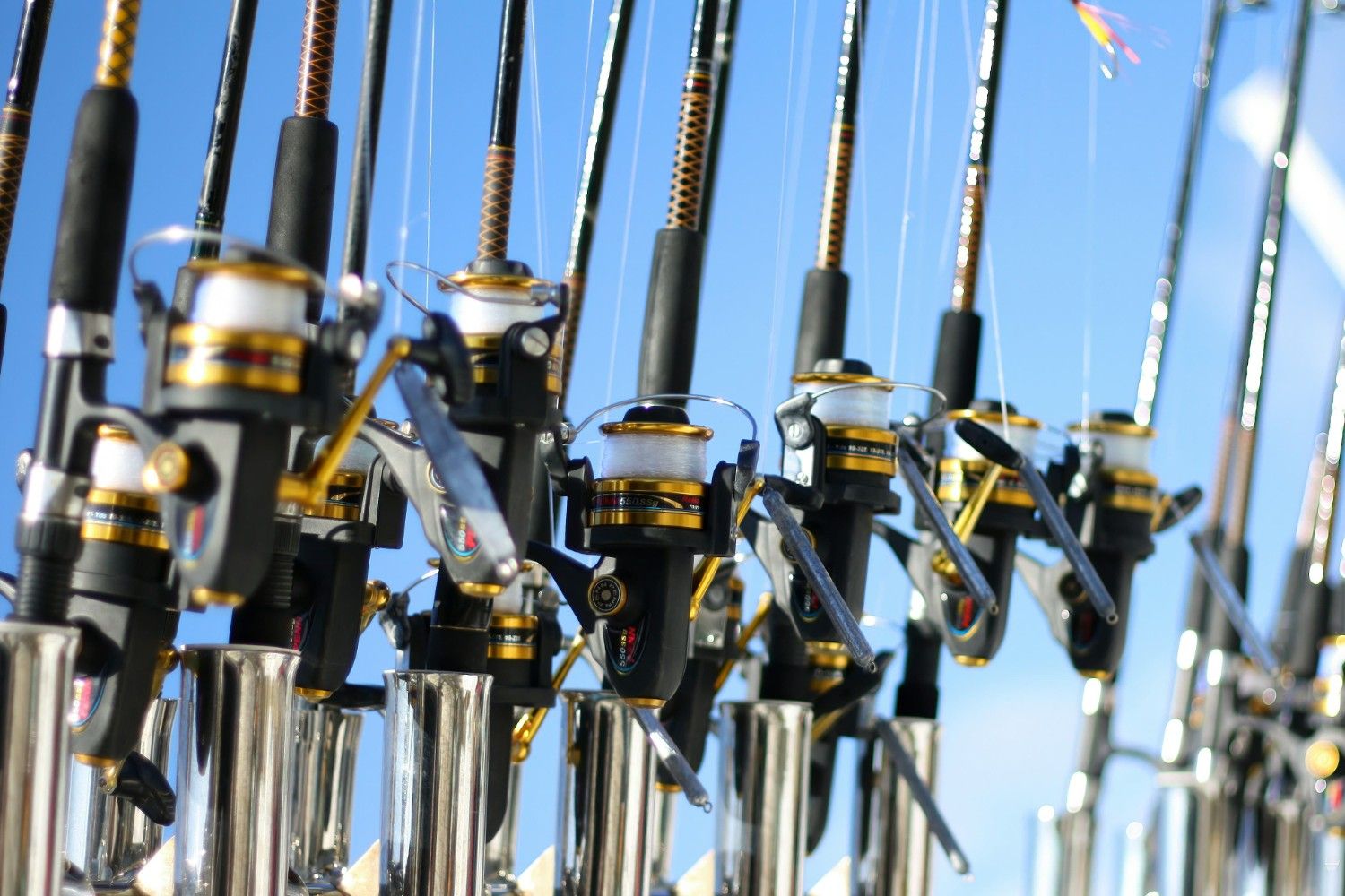 fishing reels